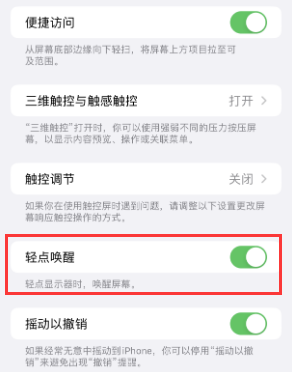 龙门镇苹果授权维修站分享iPhone轻点无法唤醒怎么办 