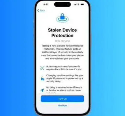 龙门镇苹果授权维修店分享被盗设备保护功能开启方法 