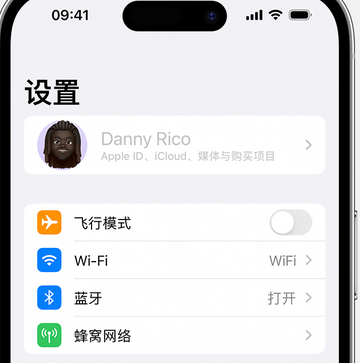 龙门镇appleID维修服务iPhone设置中Apple ID显示为灰色无法使用