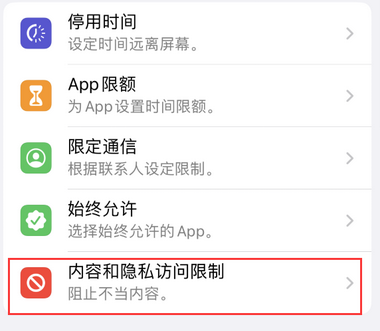 龙门镇appleID维修服务iPhone设置中Apple ID显示为灰色无法使用