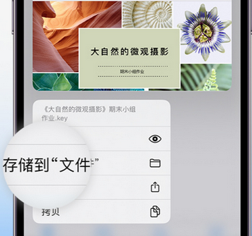 龙门镇apple维修中心分享iPhone文件应用中存储和找到下载文件