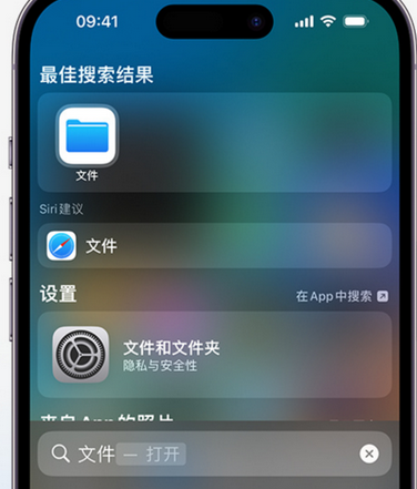 龙门镇apple维修中心分享iPhone文件应用中存储和找到下载文件 