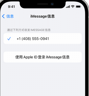 龙门镇apple维修iPhone上无法正常发送iMessage信息