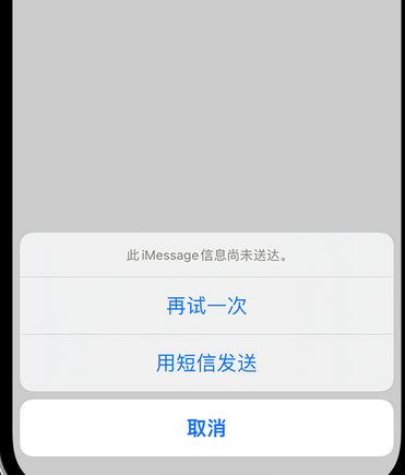 龙门镇apple维修iPhone上无法正常发送iMessage信息