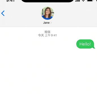 龙门镇apple维修iPhone上无法正常发送iMessage信息