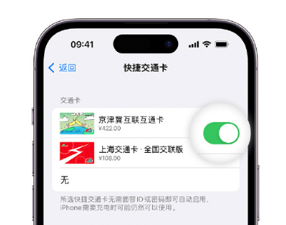 龙门镇apple维修点分享iPhone上更换Apple Pay快捷交通卡手绘卡面 