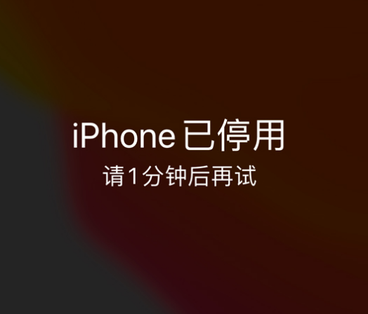 龙门镇苹果手机维修分享:iPhone 显示“不可用”或“已停用”怎么办？还能保留数据吗？ 