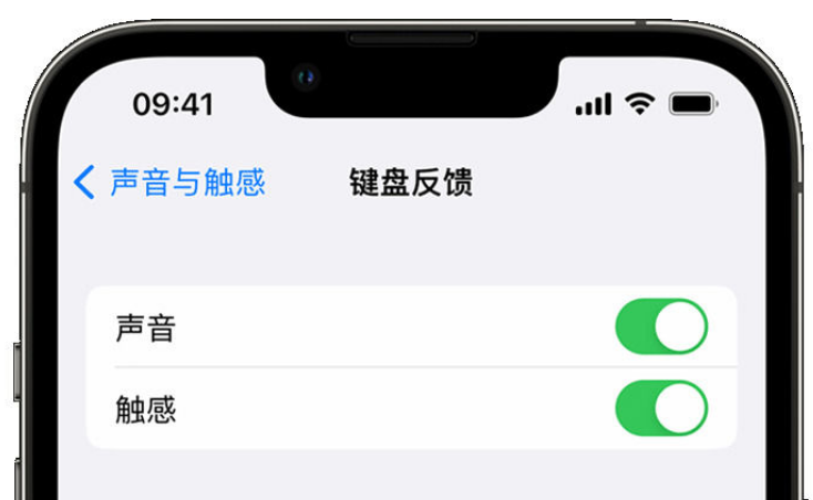 龙门镇苹果手机维修分享iPhone 14触感键盘使用方法 