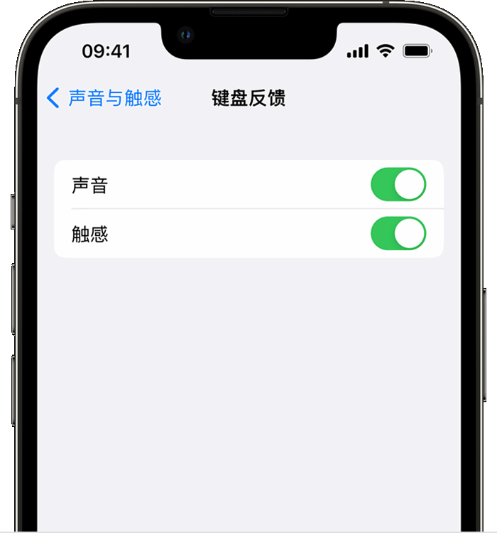 龙门镇苹果14维修店分享如何在 iPhone 14 机型中使用触感键盘 