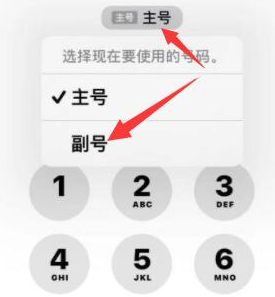 龙门镇苹果14维修店分享iPhone 14 Pro Max使用副卡打电话的方法 