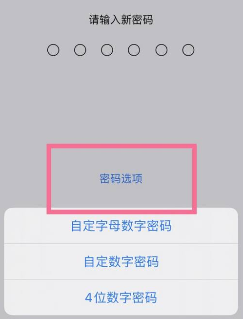 龙门镇苹果14维修分享iPhone 14plus设置密码的方法 