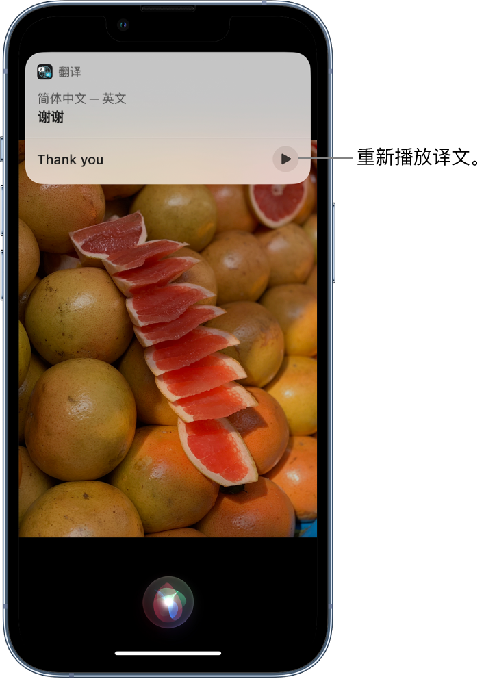 龙门镇苹果14维修分享 iPhone 14 机型中使用 Siri：了解 Siri 能帮你做什么 