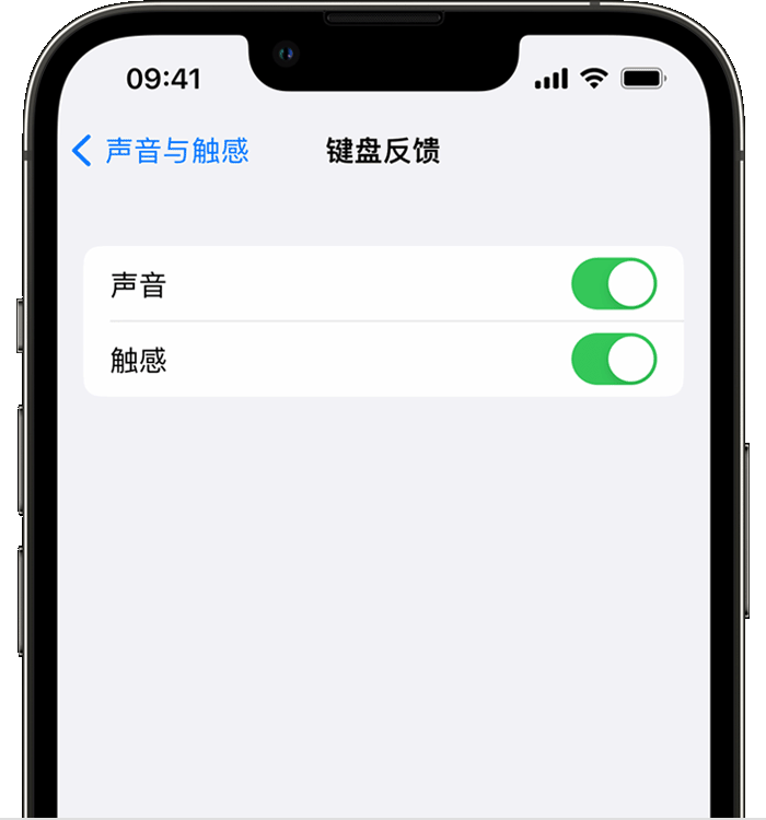 龙门镇苹果14维修分享iPhone 14 系列机型如何开启键盘声音或触感反馈 