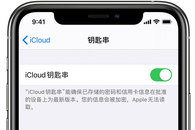 龙门镇苹果手机维修分享在 iPhone 上开启 iCloud 钥匙串之后会储存哪些信息 