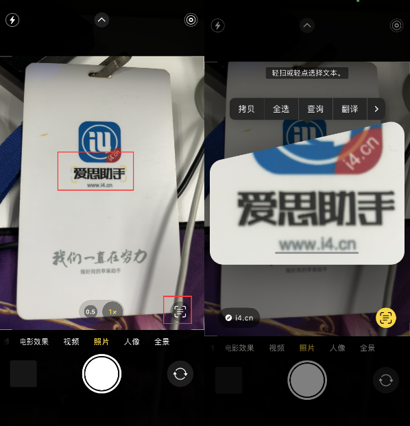 龙门镇苹果手机维修分享升级iOS 16后如何通过相机翻译文本 