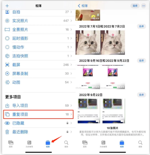 龙门镇苹果手机维修分享iOS 16 中相册重复项目功能使用方法 
