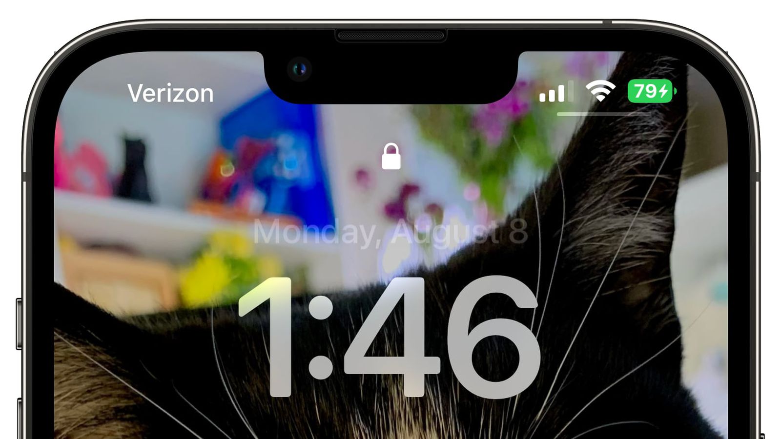 龙门镇苹果手机维修分享iOS 16 beta 5 支持状态栏显示电池百分比，如何开启？支持哪些机型 