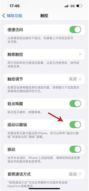 龙门镇苹果手机维修分享iPhone手机如何设置摇一摇删除文字 