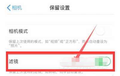 龙门镇苹果13维修分享iPhone13拍照有绿点是怎么回事 