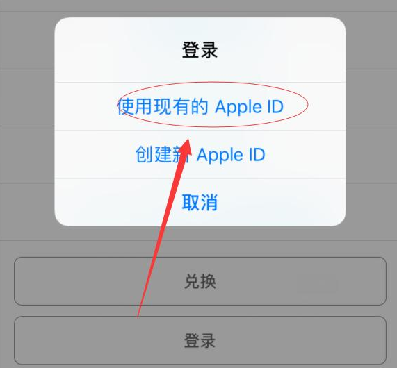 龙门镇苹果手机维修分享两台iPhone设备可以同时登录一个Apple ID吗 