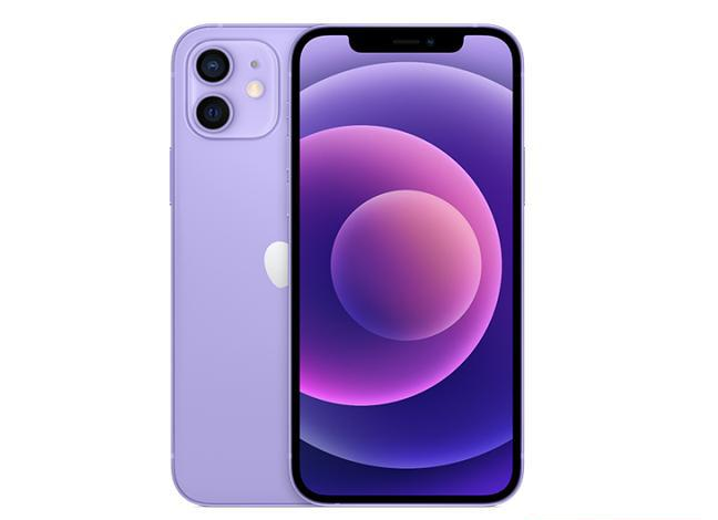 龙门镇苹果手机维修分享现阶段要不要入手紫色版iPhone12 