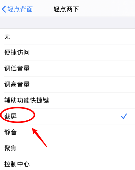 龙门镇苹果手机维修分享iPhone12如何启用双击截屏 